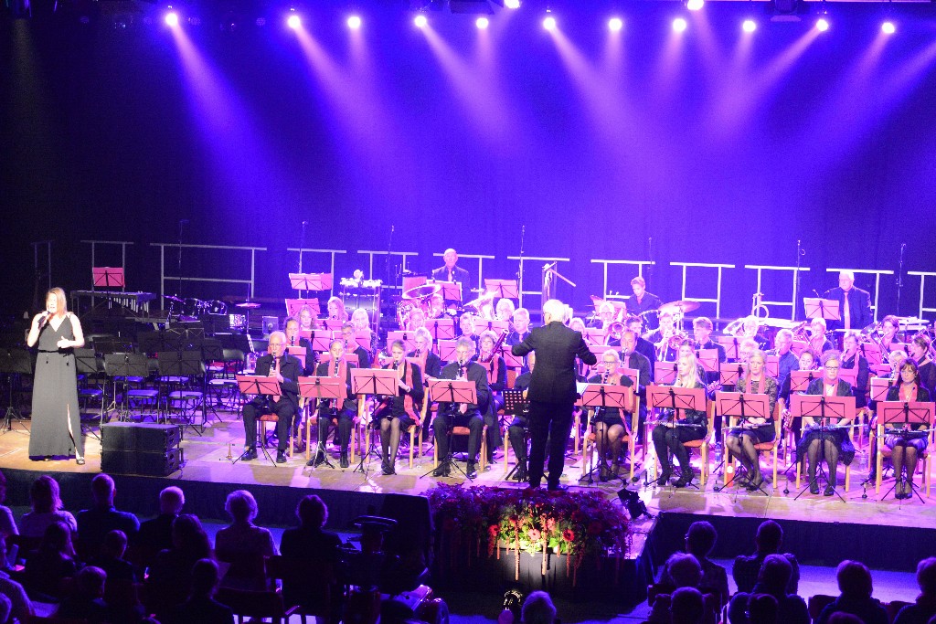 ../Images/Jubileumconcert 100 jaar Harpe Davids 063.jpg